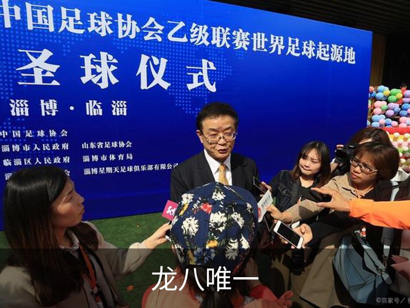 龙八唯一概况